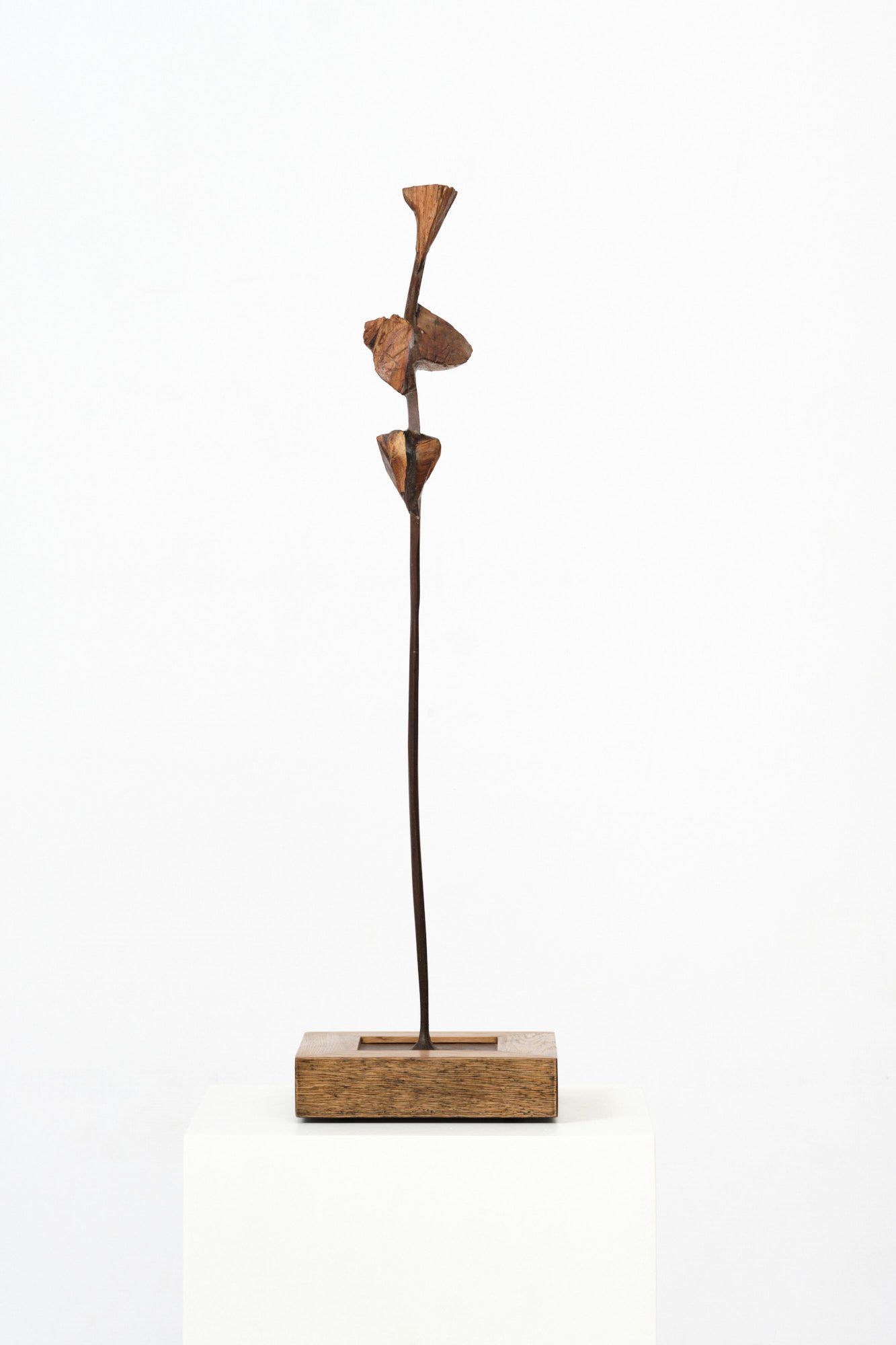 Michael Roderick Wedderburn Sculpture
